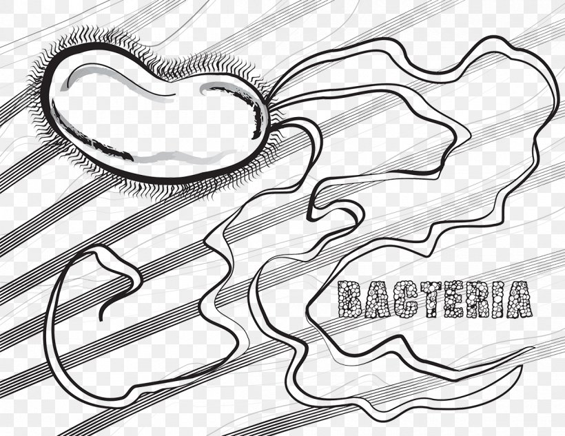 Coloring Book Bacteria Microscopic Monsters Cell, PNG, 1200x927px, Watercolor, Cartoon, Flower, Frame, Heart Download Free