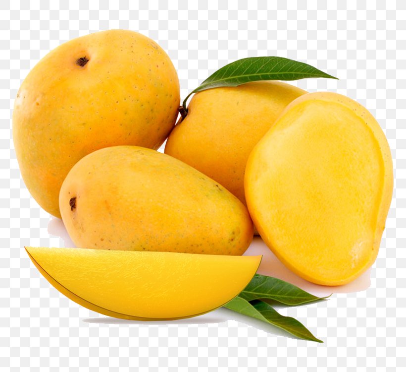 Mangifera Indica Alphonso Mango Devgad Taluka Food, PNG, 810x750px, Mangifera Indica, Alphonso, Citrus, Curcuma Amada, Devgad Taluka Download Free