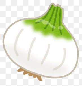Onion - Onion Bibimbap Seasonal Food Chicken As Food PNG