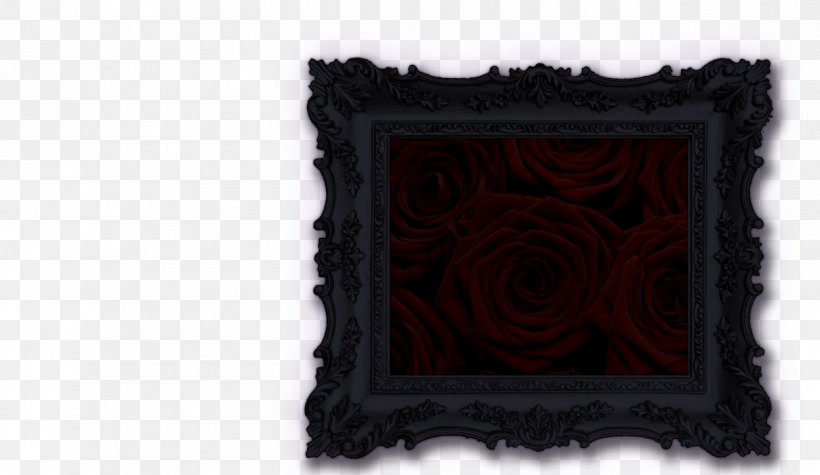 Picture Frames Clothing, PNG, 1250x725px, Picture Frames, Clothing, Hat, Imagery, Instagram Download Free