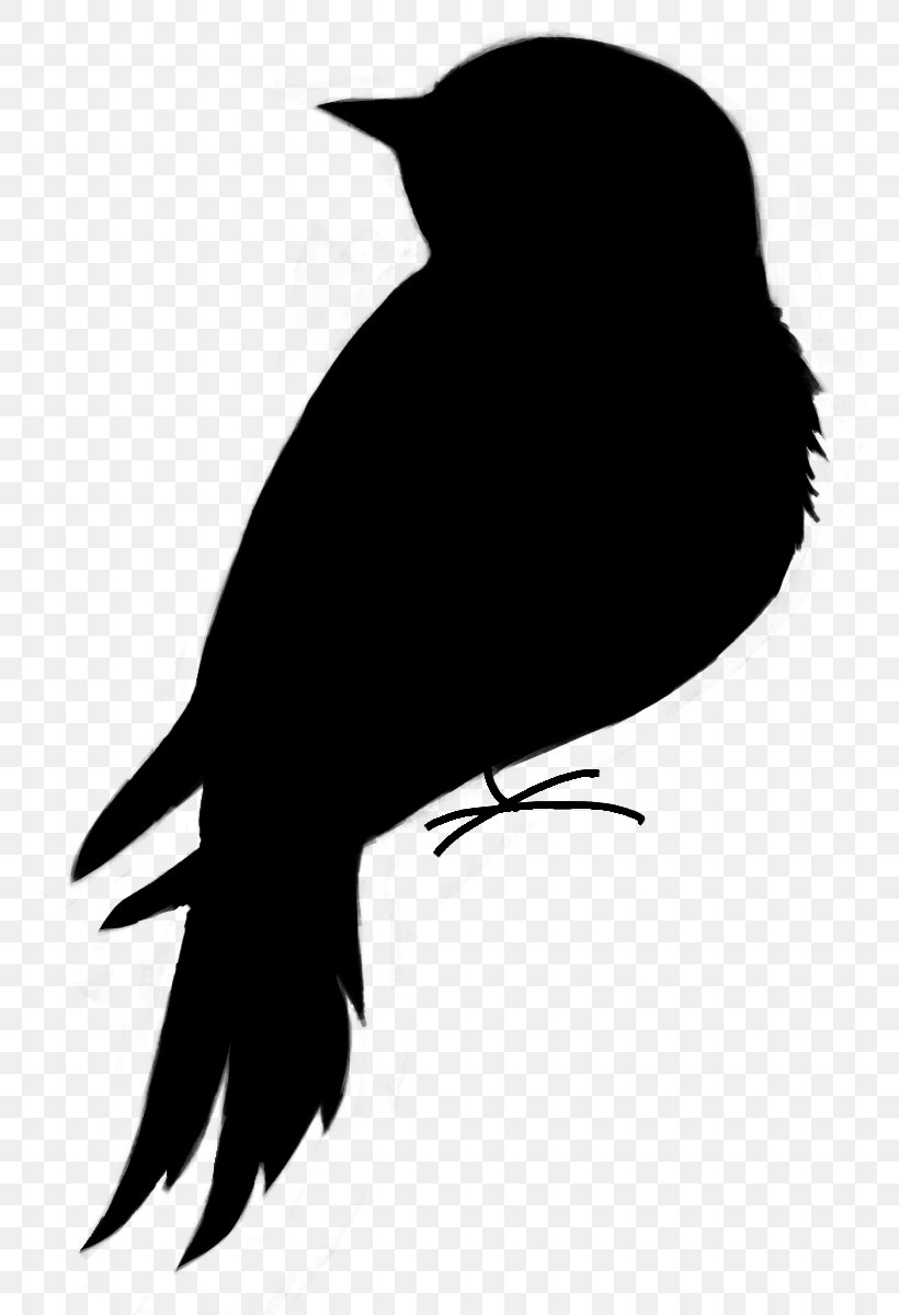 Beak Clip Art Fauna Silhouette Neck, PNG, 800x1200px, Beak, Bird, Crow, Fauna, Neck Download Free