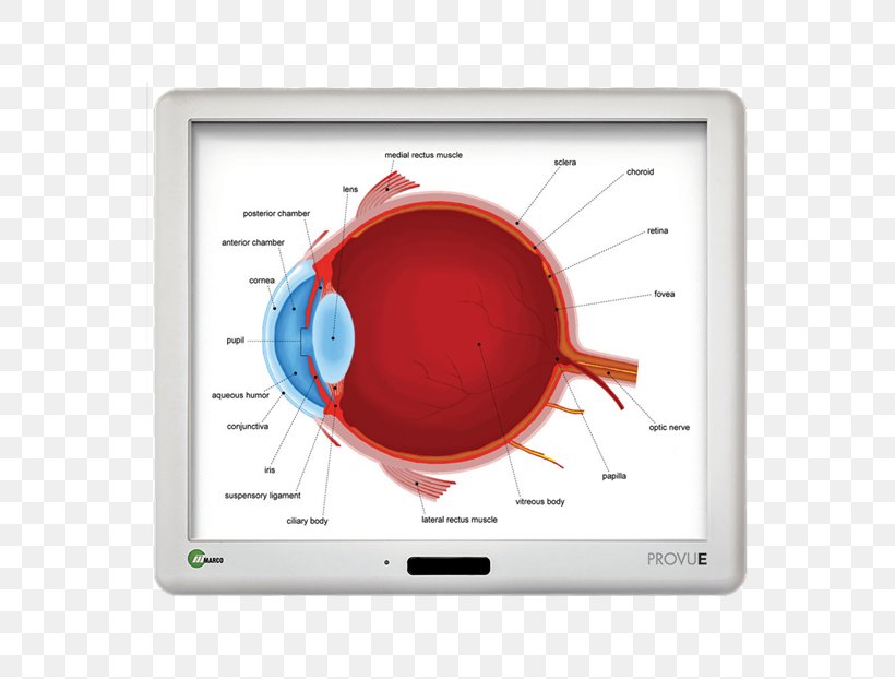 Display Device Multimedia Electronics, PNG, 700x622px, Display Device, Brand, Computer Monitors, Electronics, Multimedia Download Free