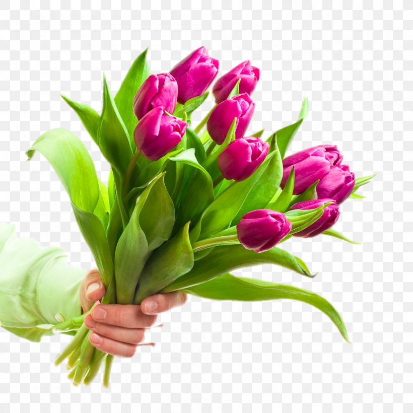 Flower Bouquet Stock Photography Tulip Stock.xchng, PNG, 1000x1000px, Flower, Bulb, Cut Flowers, Floral Design, Floristry Download Free