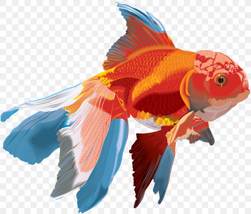 Goldfish Watercolor Painting, PNG, 4394x3754px, Goldfish, Bony Fish, Fin, Fish, Organism Download Free