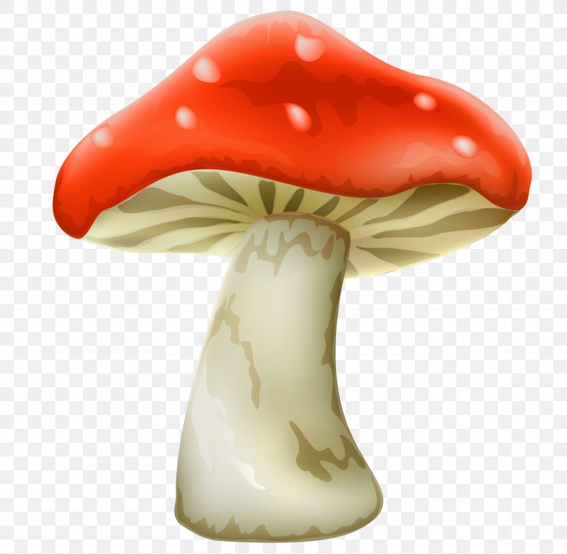 Mushroom Clip Art, PNG, 3742x3658px, Mushroom, Agaricus Arvensis, Alice In Wonderland, Common Mushroom, Royaltyfree Download Free