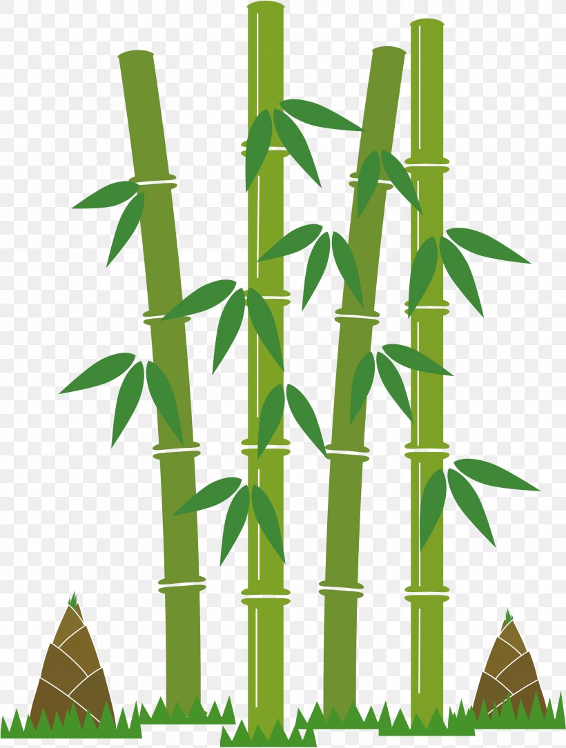 Tropical Woody Bamboos Bamboo Shoot Book Image, PNG, 2903x3840px, Tropical Woody Bamboos, Amazon Kindle, Bamboo, Bamboo Shoot, Book Download Free