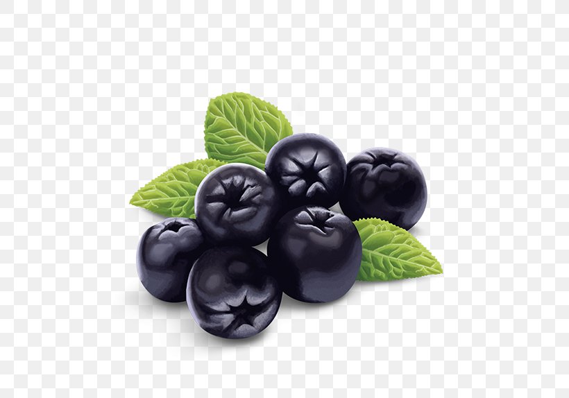 Blueberry Chokeberry Yogi Tea Bilberry, PNG, 567x574px, Blueberry, Aufguss, Berry, Bilberry, Chokeberry Download Free