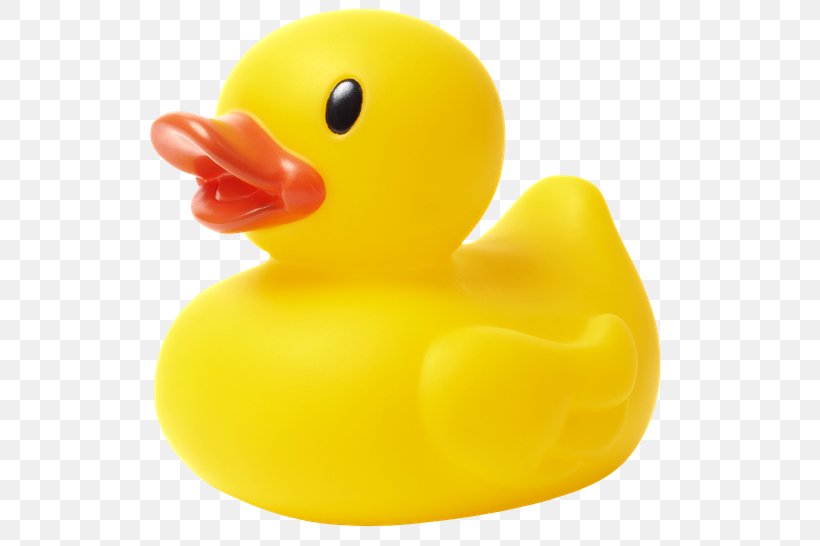 Duck Cartoon, PNG, 550x546px, Duck, Bath Toy, Beak, Bird, Ducks Geese And Swans Download Free