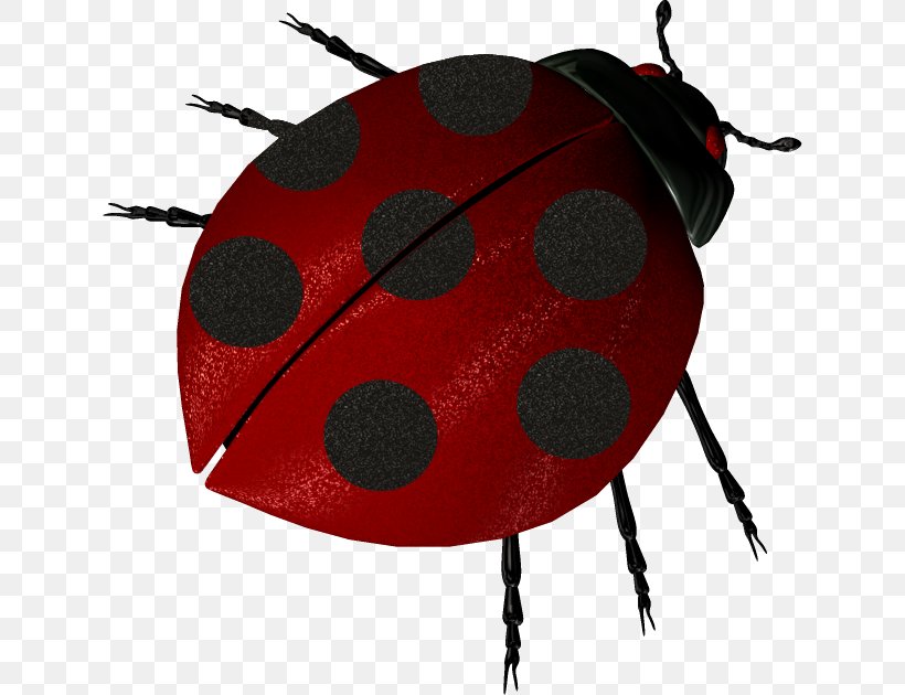 Ladybird Insect Clip Art, PNG, 634x630px, Ladybird, Animal, Coccinella Septempunctata, Flower, Insect Download Free