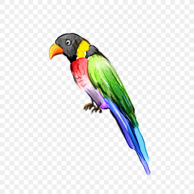Lovebird Parrot Macaw, PNG, 1000x1000px, Bird, Beak, Companion Parrot, Fauna, Feather Download Free