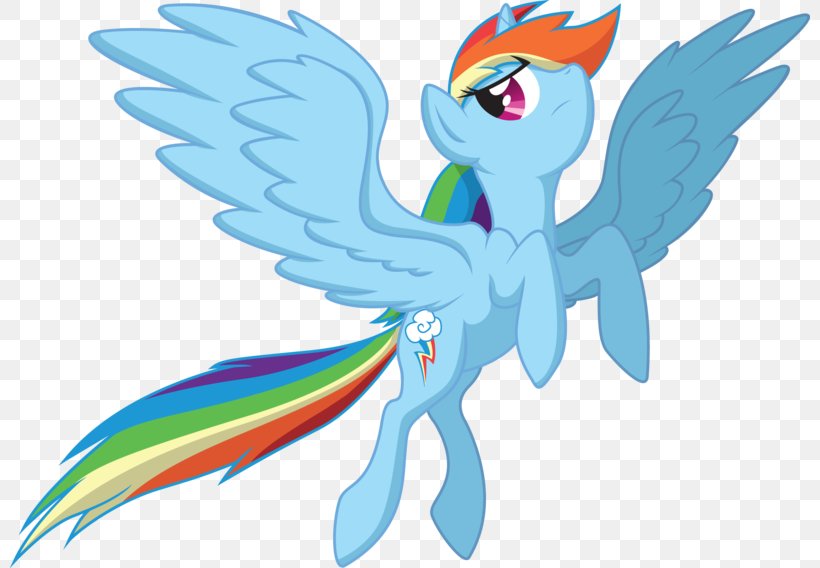 My Little Pony Rainbow Dash Fluttershy Winged Unicorn, PNG, 800x568px, Pony, Animal Figure, Art, Beak, Bird Download Free