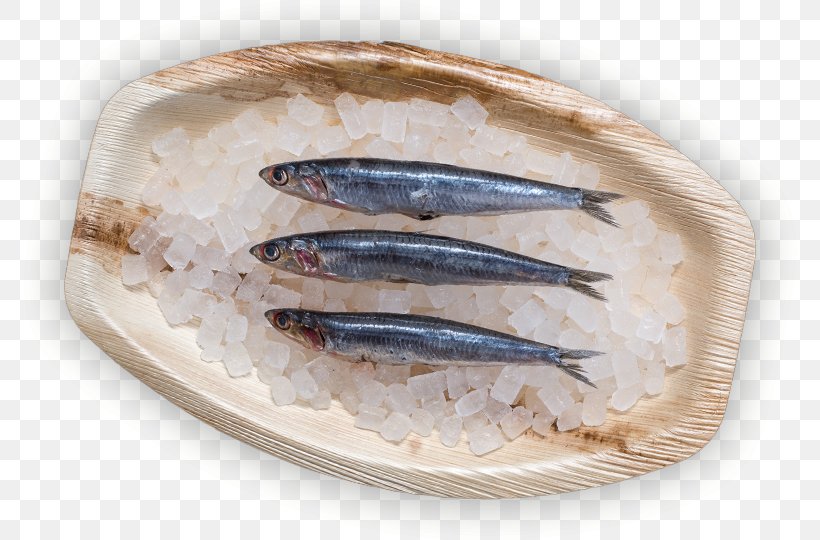 Sardine Pacific Saury Fish Products Kipper Oily Fish, PNG, 774x540px, Sardine, Anchovies As Food, Anchovy, Anchovy Food, Animal Source Foods Download Free
