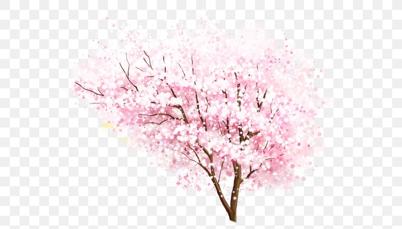 National Cherry Blossom Festival, PNG, 587x467px, National Cherry Blossom Festival, Blossom, Branch, Cherry, Cherry Blossom Download Free