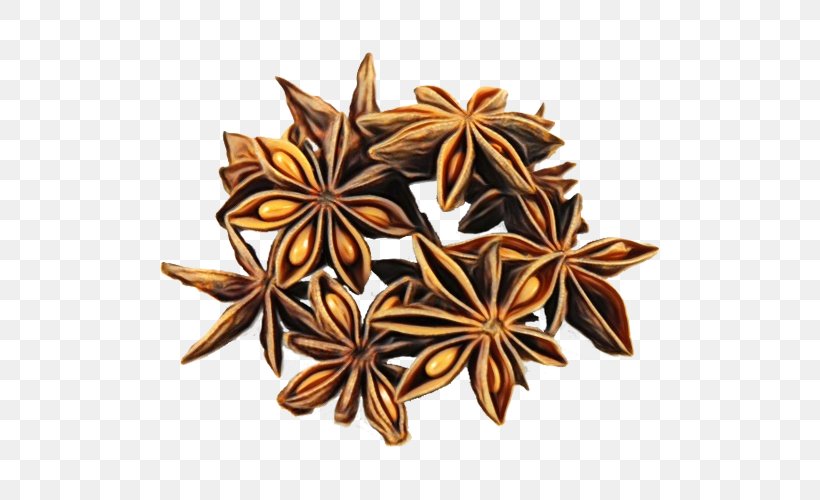 Star Anise Anise Plant Spice Flower, PNG, 500x500px, Watercolor, Anise, Flower, Herb, Paint Download Free