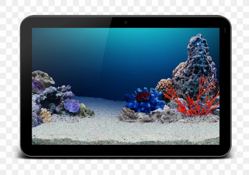 Coral Reef Aquariums Cobalt Blue, PNG, 1277x900px, Coral Reef, Aquarium, Aquariums, Blue, Cobalt Download Free