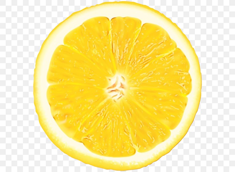 Lemon Slice, PNG, 596x600px, Watercolor, Bitter Orange, Bond, Citric Acid, Citron Download Free