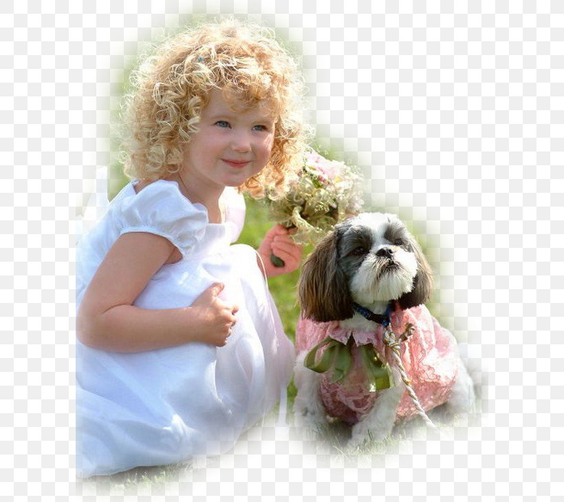 Shih Tzu Child Dogs 101 Infant Family, PNG, 600x729px, Shih Tzu, Animal, Art, Carnivoran, Cavachon Download Free