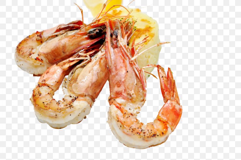European Cuisine Fried Prawn Shrimp Pandalus Borealis Food, PNG, 1024x680px, European Cuisine, Animal Source Foods, Cake, Caridean Shrimp, Chinese White Shrimp Download Free