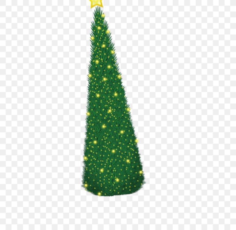 Fir Christmas Tree, PNG, 800x800px, Fir, Christmas, Christmas Decoration, Christmas Ornament, Christmas Tree Download Free