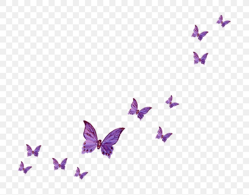 Fly Butterfly Clip Art, PNG, 800x642px, Butterfly, Android, Fly Butterfly, Google Images, Lilac Download Free