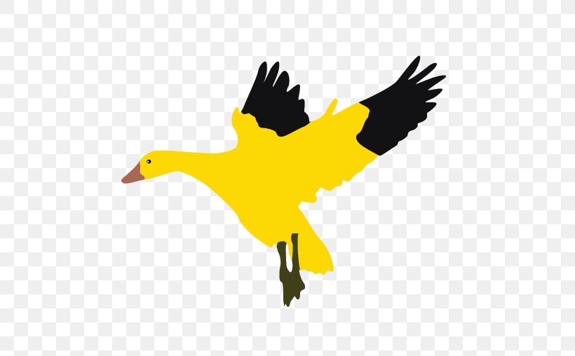 Goose Duck Bird Cygnini Clip Art, PNG, 508x508px, Goose, Anatidae, Animal, Beak, Bird Download Free