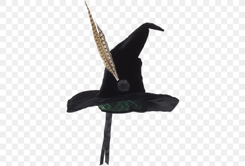 Professor Minerva McGonagall Witch Hat Rubeus Hagrid Harry Potter, PNG, 555x555px, Professor Minerva Mcgonagall, Clothing, Clothing Accessories, Costume, Feather Download Free