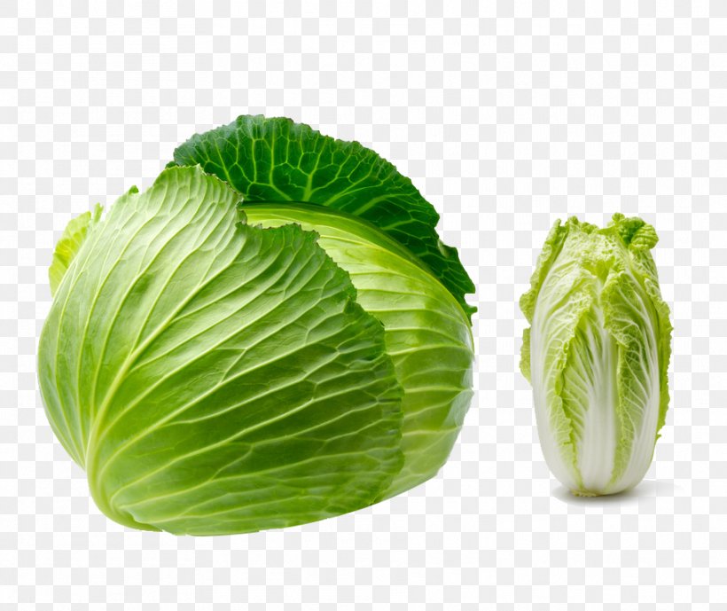 Cabbage Vegetable Seed Fruit Kimchi, PNG, 909x764px, Cabbage, Brassica Oleracea, Chinese Cabbage, Collard Greens, Cruciferous Vegetables Download Free
