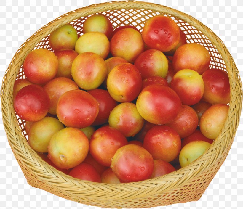 Cherry Plum Cultivar Common Plum Fruit, PNG, 1600x1378px, Cherry Plum, Apple, Apples, Aretus, Auglis Download Free