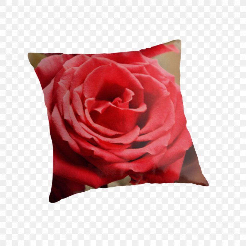 Garden Roses Pillow Cushion Cut Flowers, PNG, 875x875px, Garden Roses, Bag, Canvas, Canvas Print, Cushion Download Free