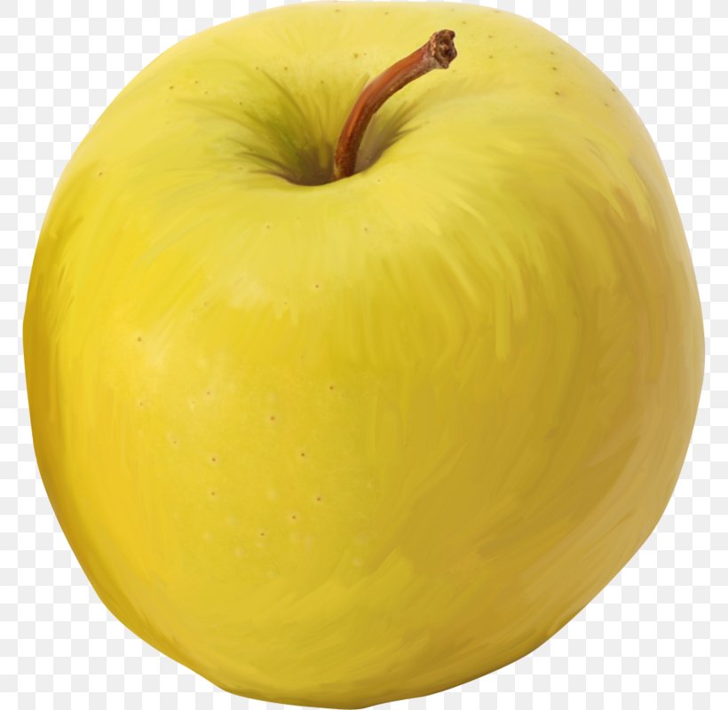 Apple Yellow Color Fruit Photography, PNG, 770x800px, Apple, Color, Cucurbita, Food, Fruit Download Free