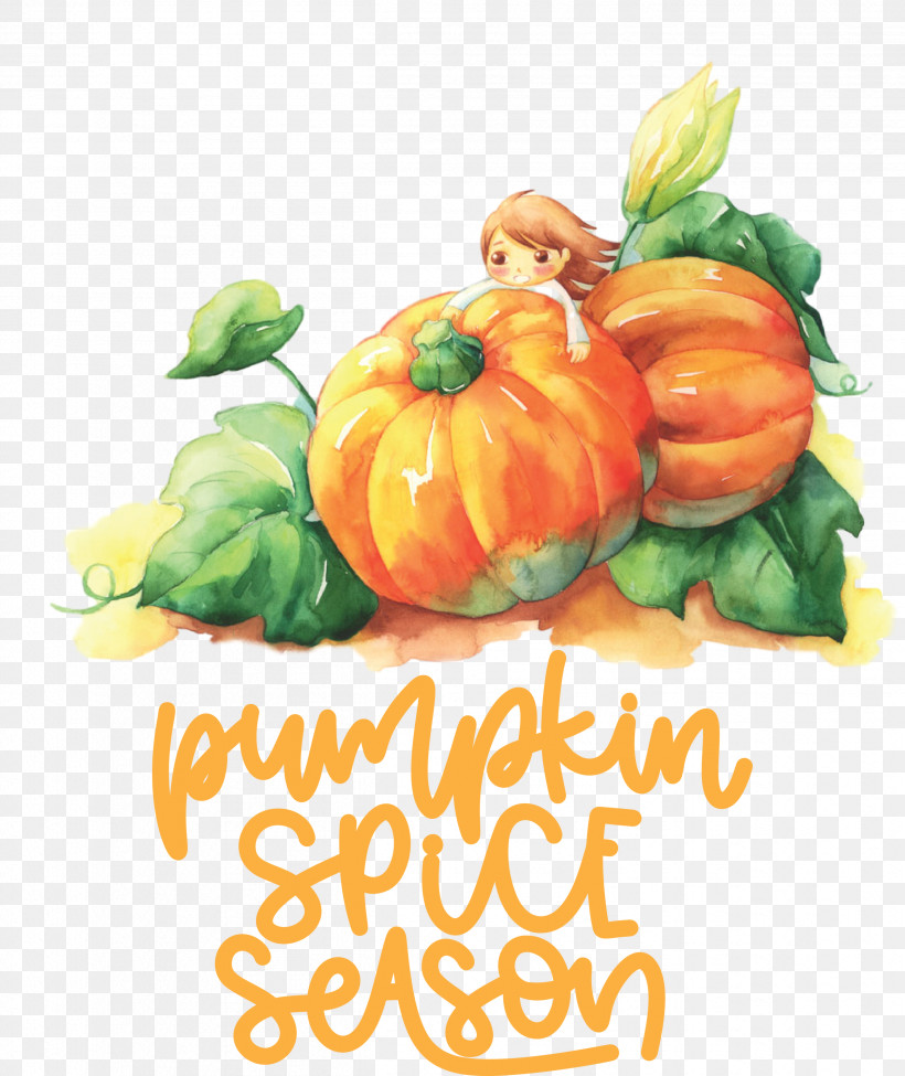 Autumn Pumpkin Spice Season Pumpkin, PNG, 2521x3000px, Autumn, Cucurbita Maxima, Cucurbits, Drawing, Field Pumpkin Download Free