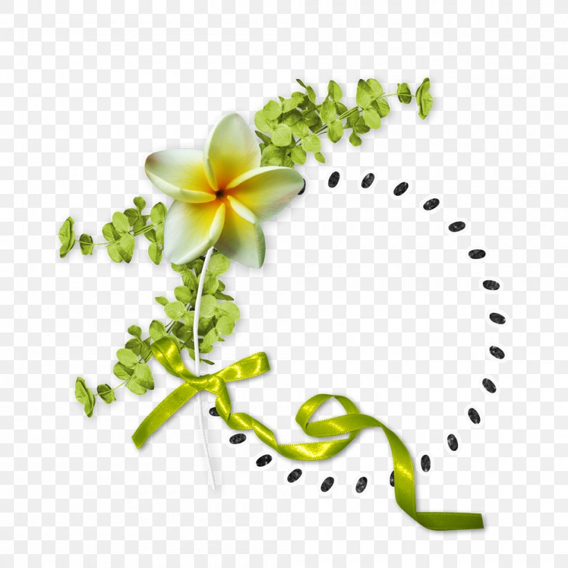 Floral Design Flower, PNG, 1000x1000px, Floral Design, Border, Branch, Designer, Flora Download Free