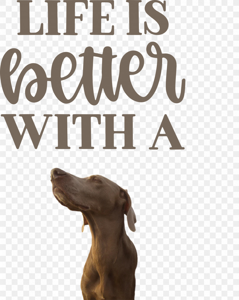 Life Better, PNG, 2382x3000px, Life, Better, Biology, Dog, Insurance Download Free