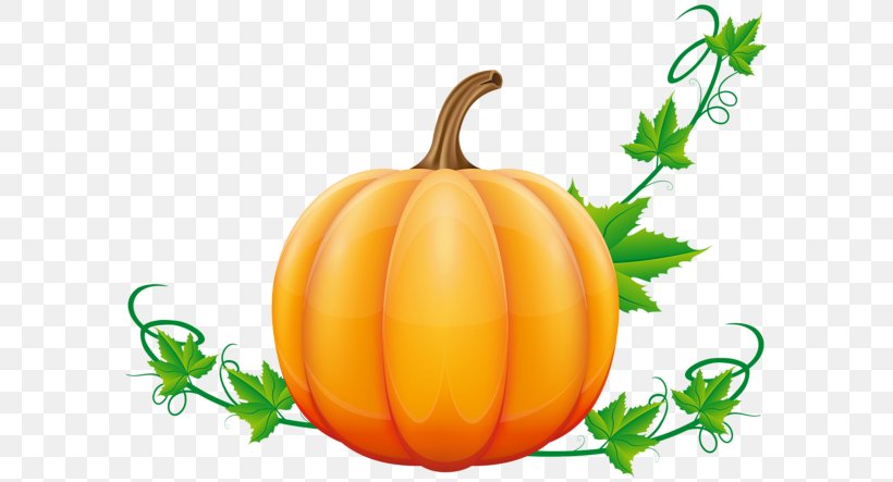 Pumpkin Pie Vegetable Clip Art, PNG, 600x443px, Pumpkin, Autumn, Calabaza, Commodity, Cucumber Gourd And Melon Family Download Free