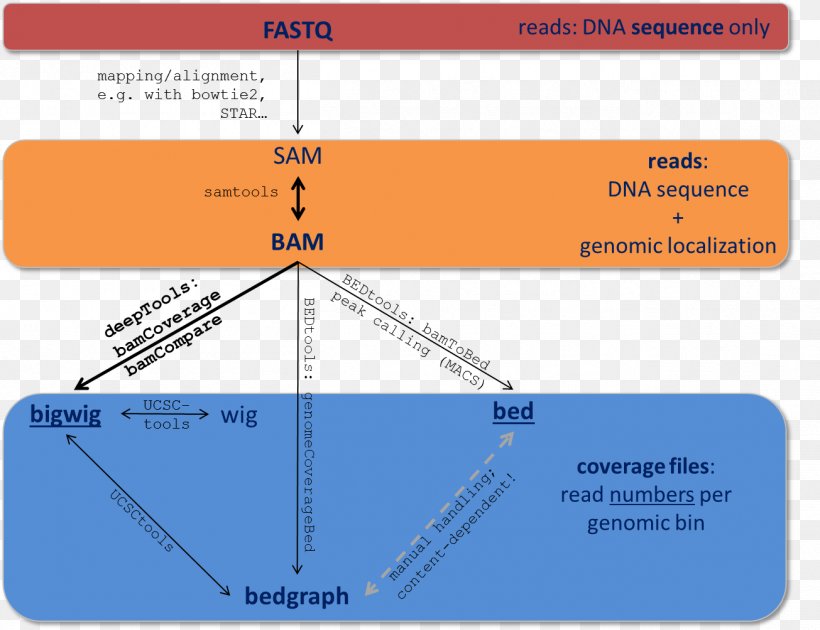 FASTQ Format SAMtools, PNG, 1305x1004px, Fastq Format, Area, Bed, Binary File, Bioinformatics Download Free