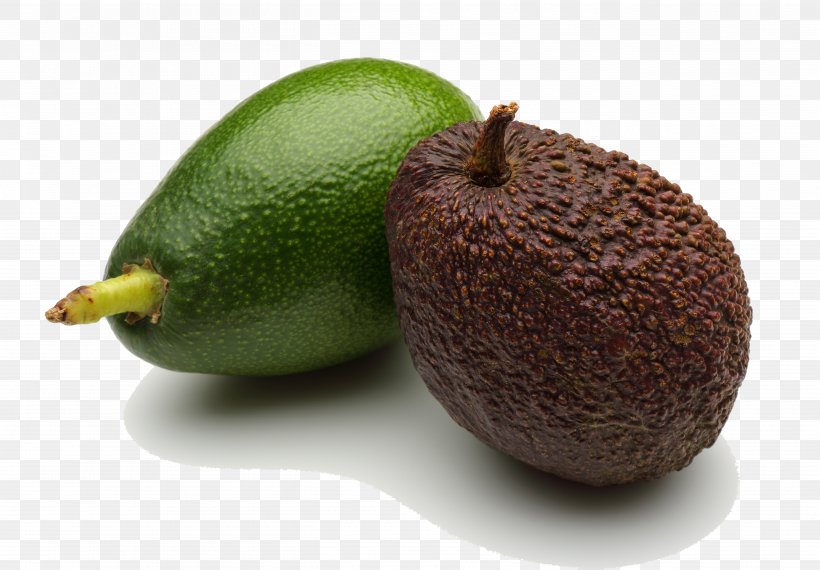 Kiwifruit Avocado Auglis, PNG, 5265x3662px, Kiwifruit, Auglis, Avocado, Food, Fruit Download Free
