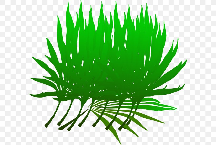 Palm Sunday Palm Branch Clip Art, PNG, 600x550px, Palm Sunday, Aquarium Decor, Arecaceae, Branch, Grass Download Free