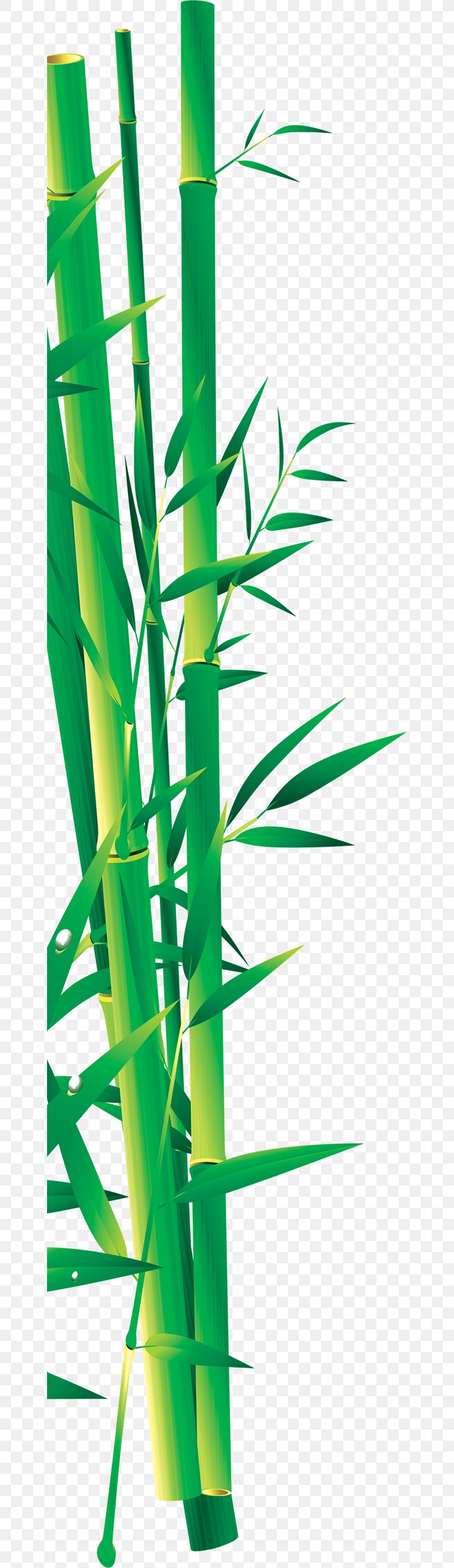 Bamboo Bamboe Icon, PNG, 650x2830px, Bamboo, Bamboe, Grass, Gratis, Green Download Free
