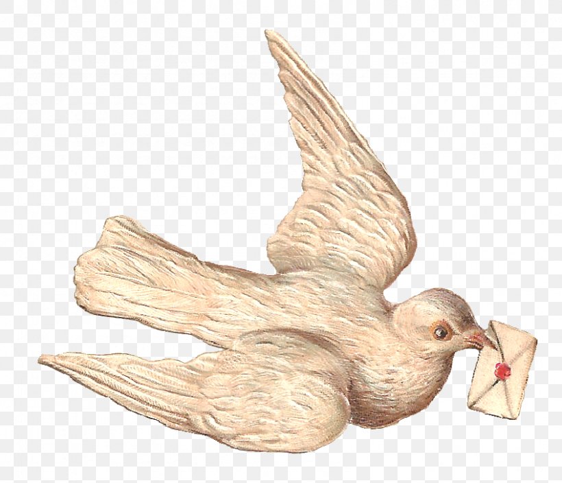 Bird Columbidae Swallow Clip Art, PNG, 846x727px, Bird, Beak, Blog, Chicken, Columbidae Download Free