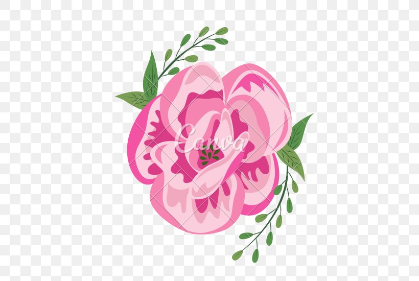 Centifolia Roses Cut Flowers Garden Roses Floral Design, PNG, 550x550px, Centifolia Roses, Cut Flowers, Flora, Floral Design, Floristry Download Free
