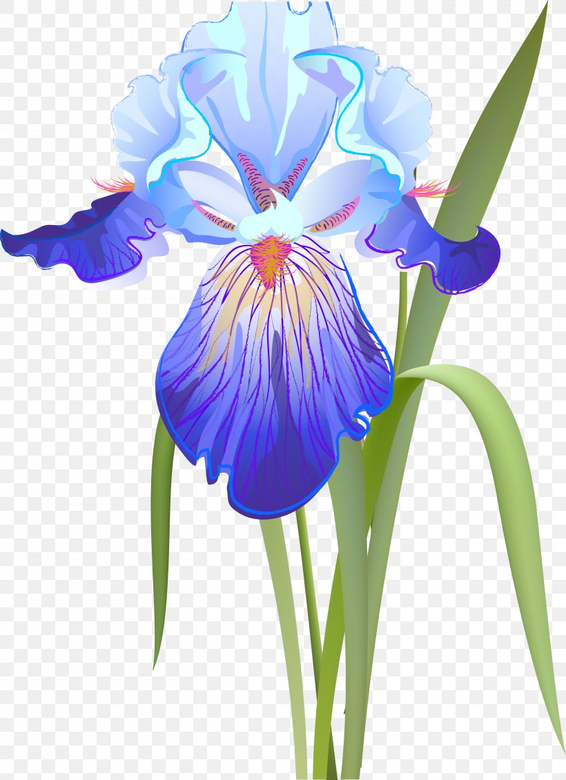 Orris Root Iris Versicolor Iris Flower Data Set Clip Art, PNG, 2902x4000px, Orris Root, Cut Flowers, Flower, Flowering Plant, Iris Download Free