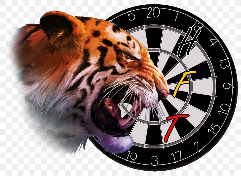 PDC World Darts Championship World Darts Federation Shot Darts Bullseye, PNG, 800x600px, Darts, Big Cats, Bullseye, Carnivoran, Cat Like Mammal Download Free
