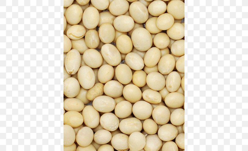 Soybean Glycine Soja Commodity Wholesale, PNG, 500x500px, Soybean, Bean, Commodity, Glycine, Ingredient Download Free