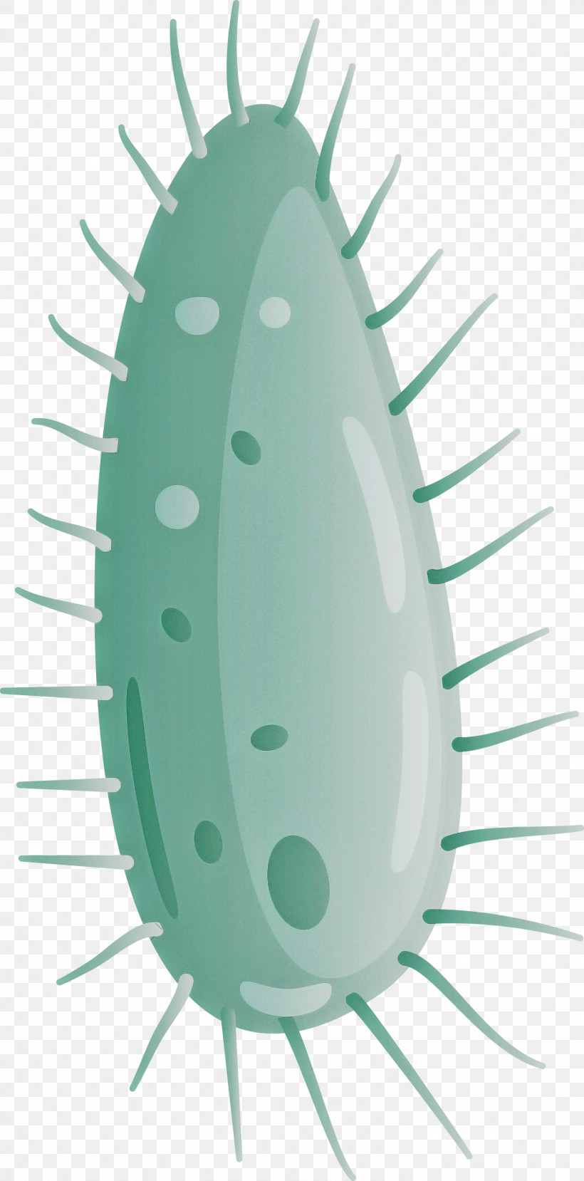 Virus, PNG, 1483x3000px, Virus, Cactus, Oval, Plant Download Free