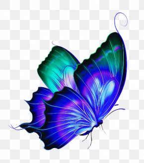 Hãy khám phá những hình ảnh đẹp của loài bướm Morpho trong suốt với định dạng PNG. Tải về miễn phí ngay để trang trí cho thiết kế của bạn thêm phần nổi bật và thu hút.