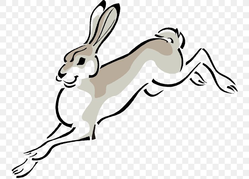 Arctic Hare European Hare Cottontail Rabbit Clip Art, PNG, 750x590px, Arctic Hare, Black And White, Carnivoran, Coloring Book, Cottontail Rabbit Download Free