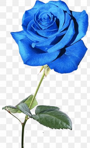 Pedicel Plant Stem - Blue Watercolor Flowers PNG