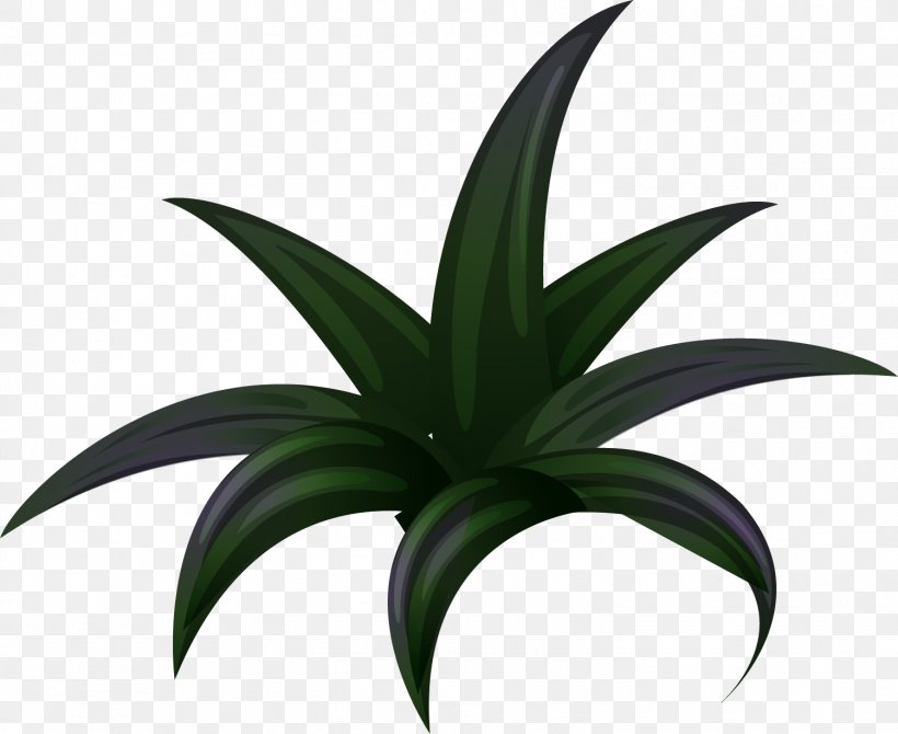 Drawing Icon, PNG, 1501x1227px, Drawing, Agave, Capelli, Flora, Flower Download Free