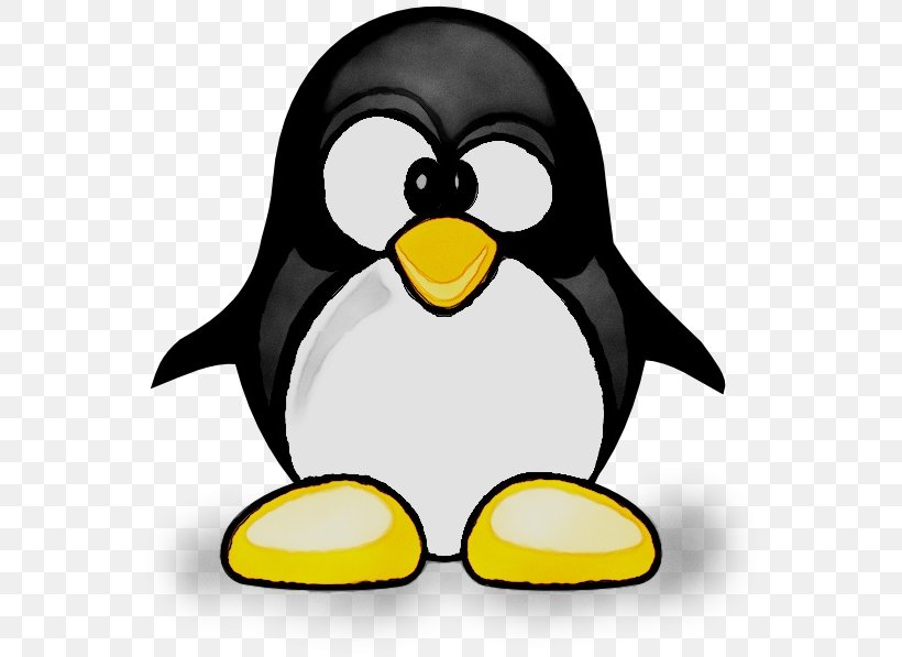 Google Penguin Google Panda Google Search Search Engine Optimization, PNG, 570x597px, Google Penguin, Beak, Bird, Cartoon, Flightless Bird Download Free
