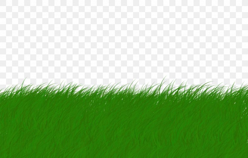 Lawn Animation Drawing, PNG, 1000x639px, Lawn, Animation, Cartoon, Drawing, Field Download Free